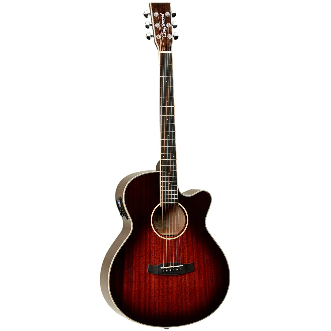 Tanglewood Acoustic Guitar Winterleaf TW4-AVB 4/4 Sunburst