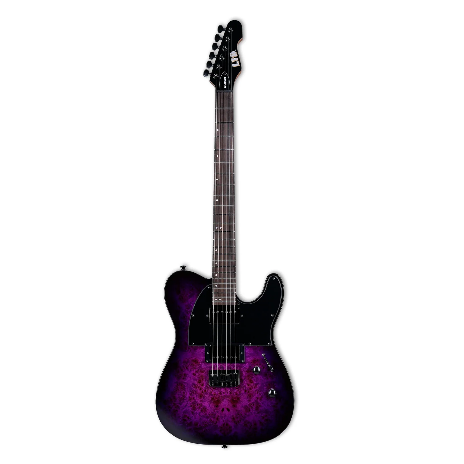 ESP LTD TE-200DX Electric Guitar — Purple Burst