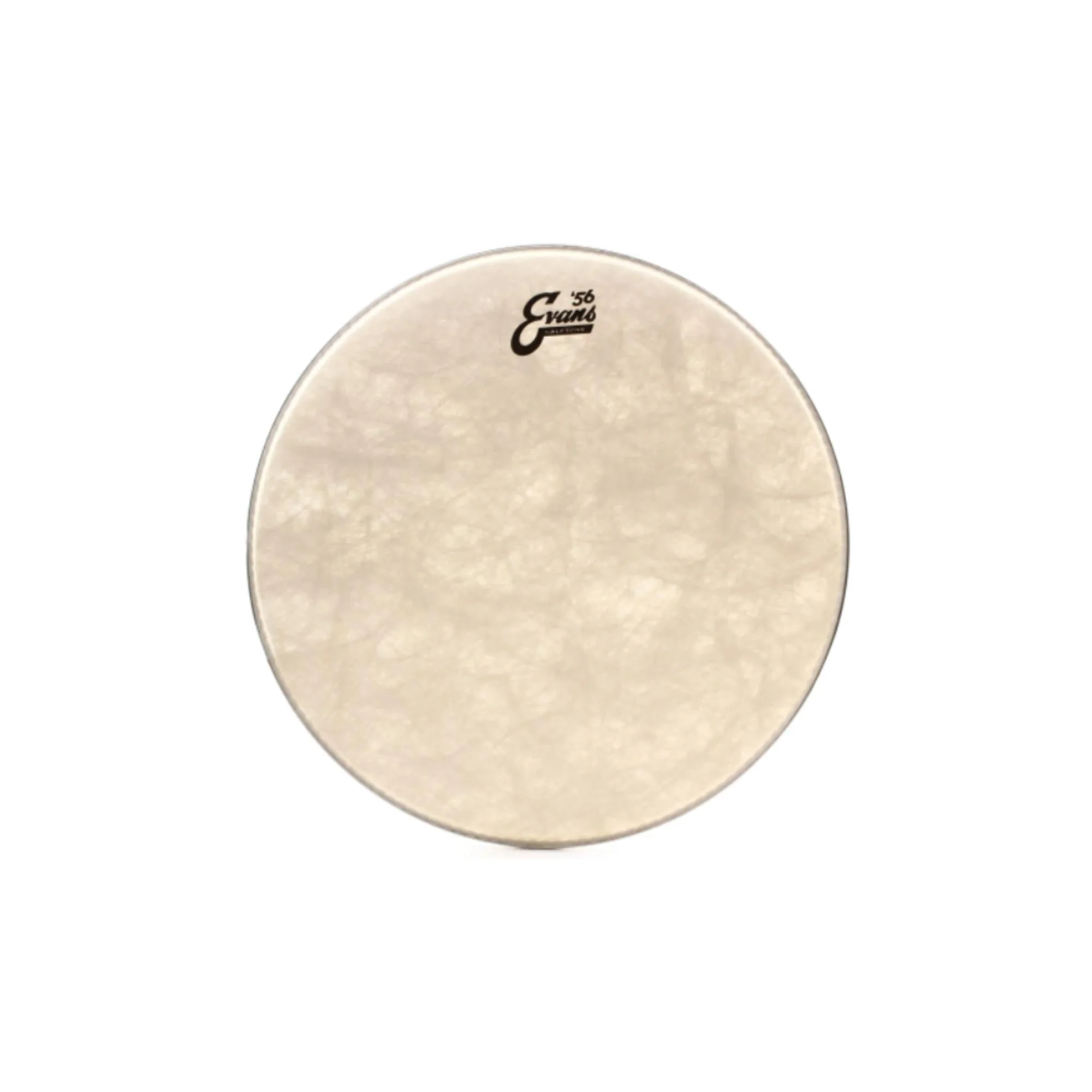 Evans Drum Head Calftone TT16C7 16"