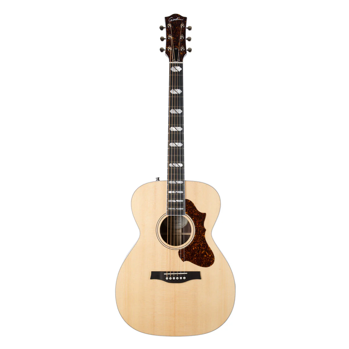 Godin Fairmount CH LTD Rosewood HG EQ with Bag 51618