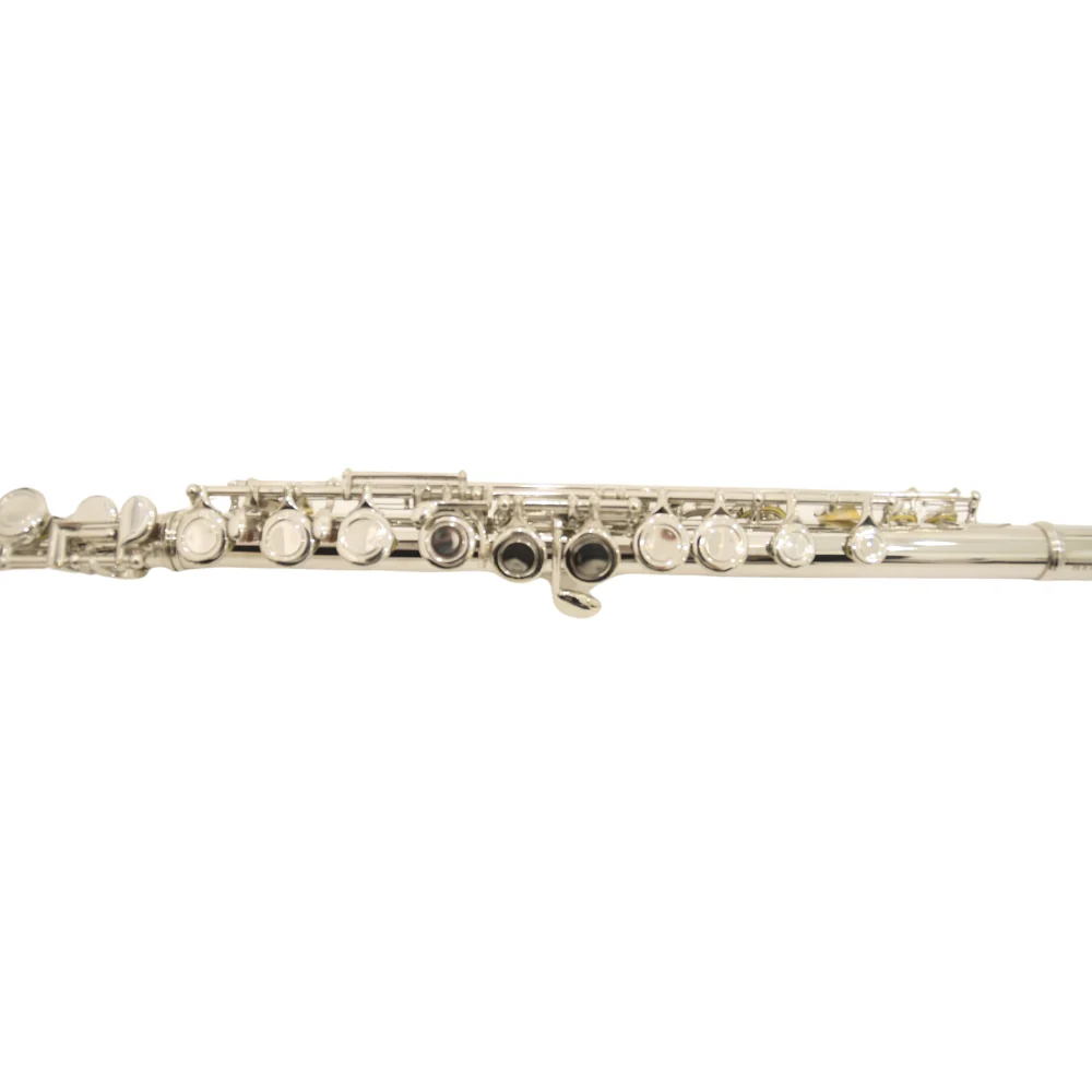 Heinrich GSW-08 Flute with Case – Silver - Image 2