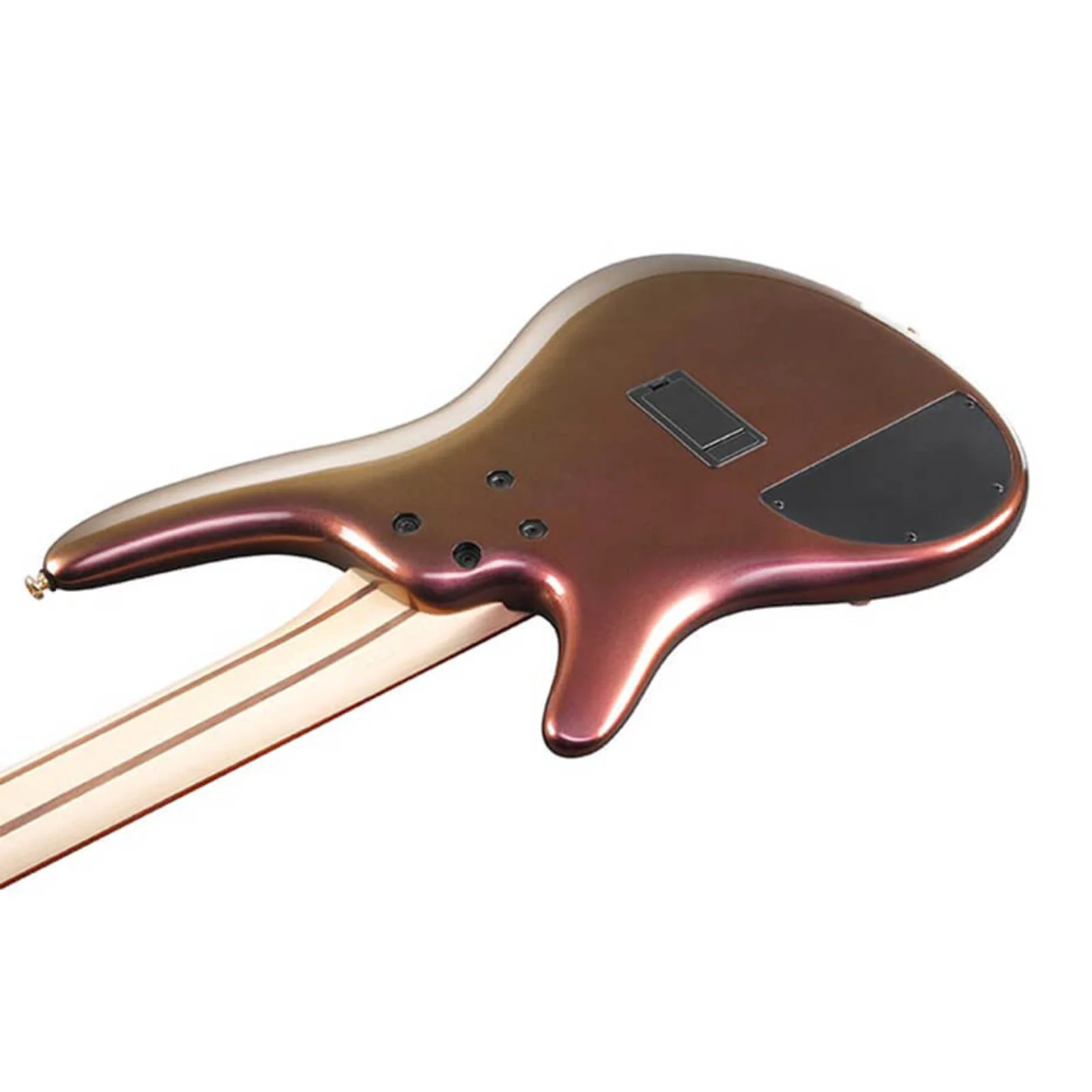 Ibanez SR305EDX-RGC 5 String Electric Bass Guitar - Image 4