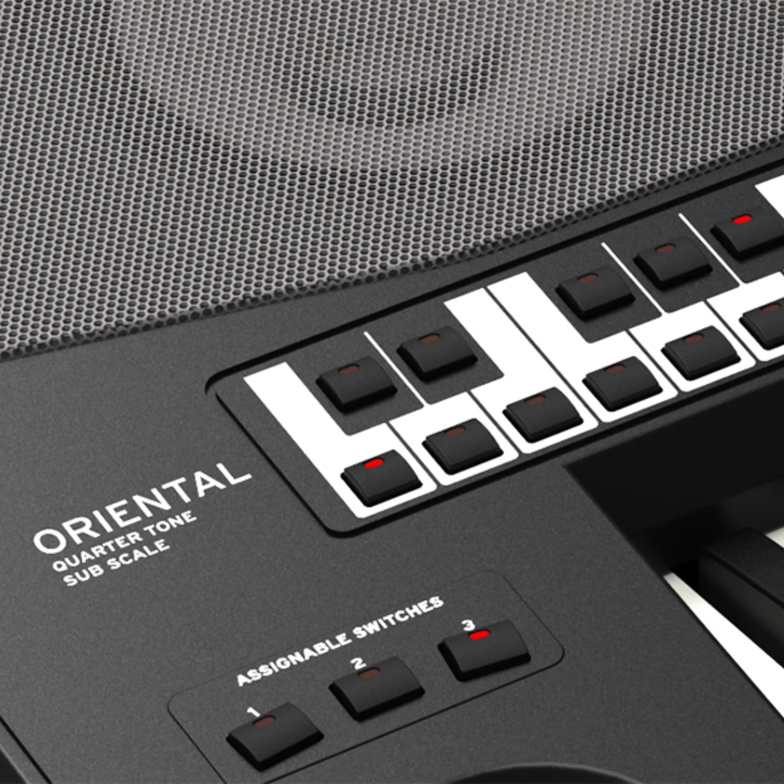 Korg Pa700 ORIENTAL - Arranger Keyboard - Image 2