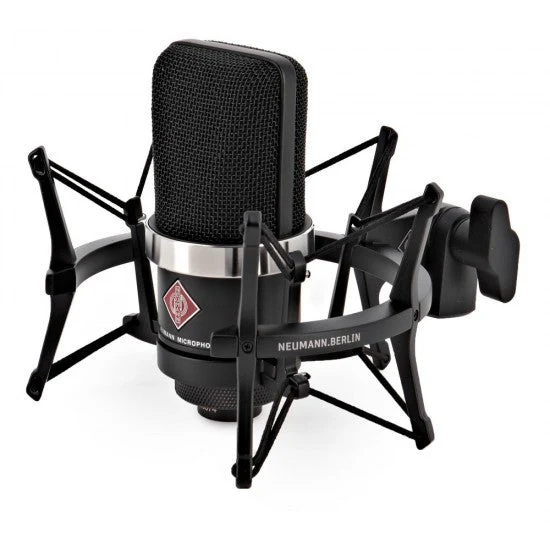 Neumann Large Diaphragm Microphone, SG 2 TLM 102