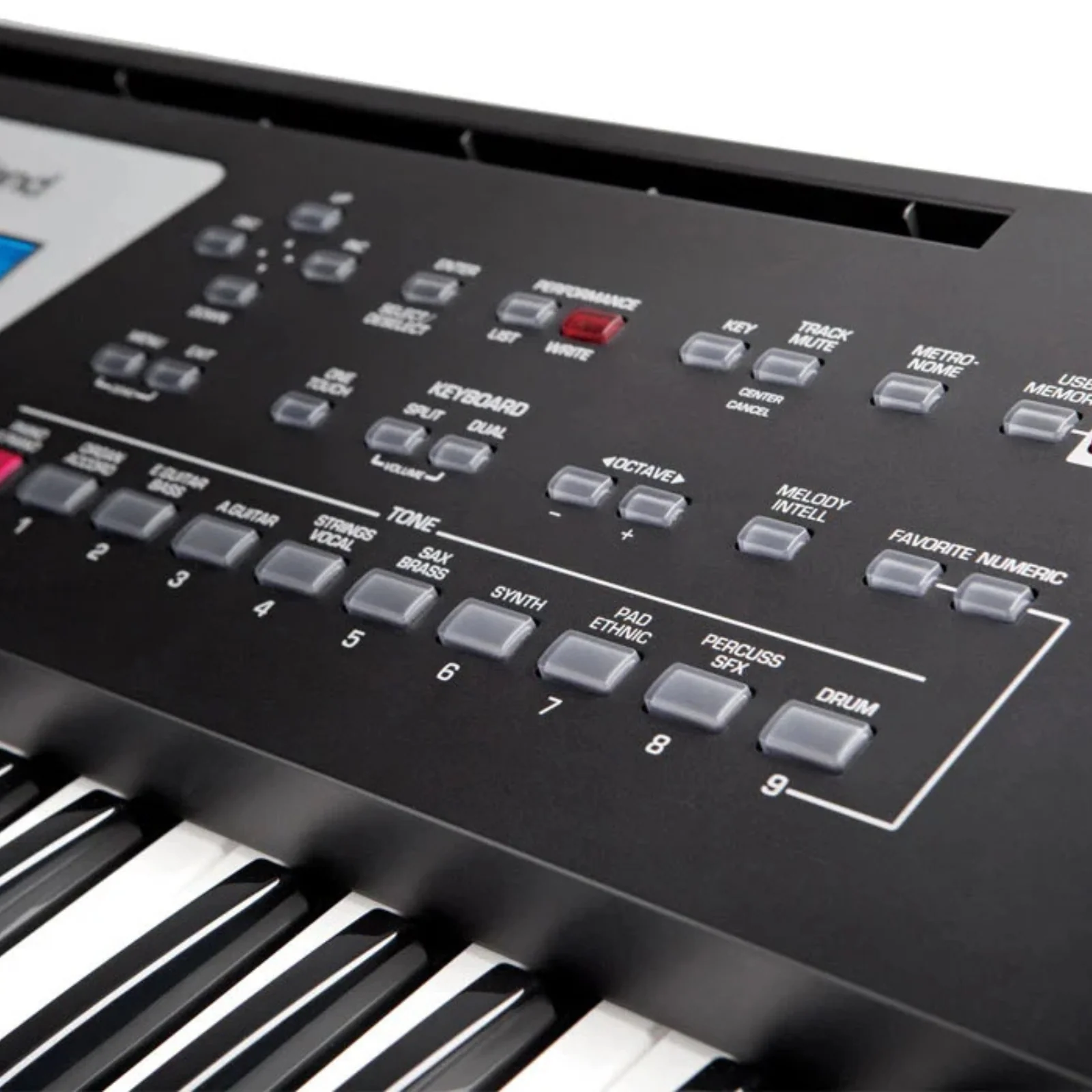 Roland BK-3 Portable 61 Key Backing Keyboard - Black - Image 5