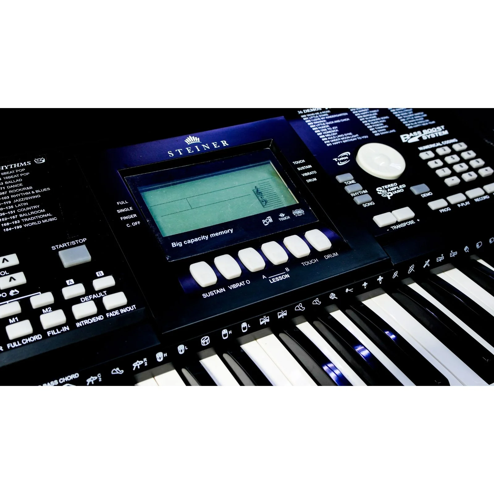 Steiner SK-300 Arranger Keyboard - Black - Image 3