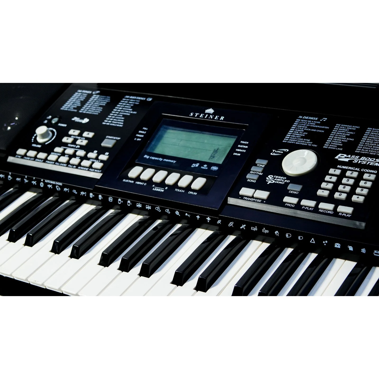 Steiner SK-300 Arranger Keyboard - Black - Image 5
