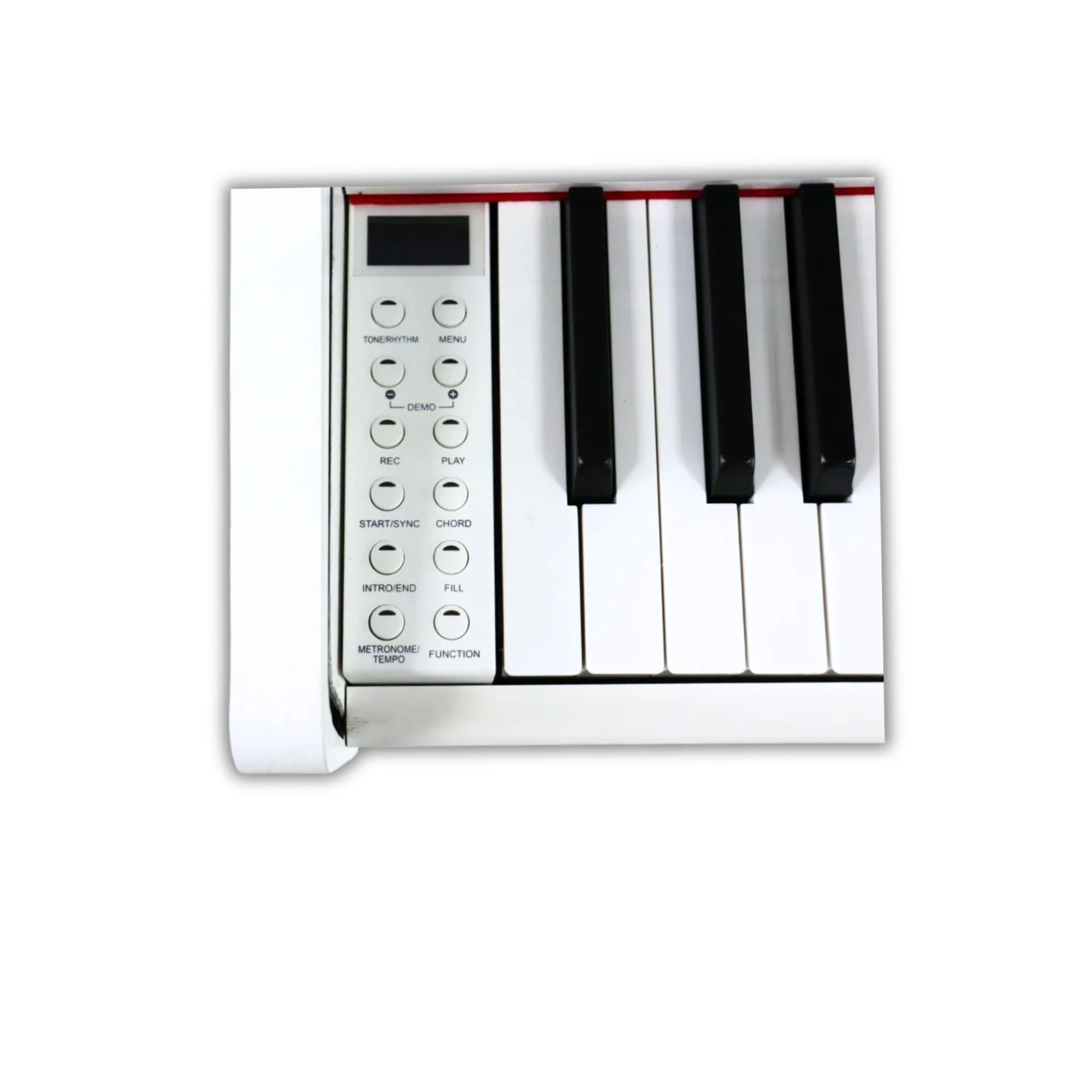 Steiner DP-250 Digital Piano – White - Image 2