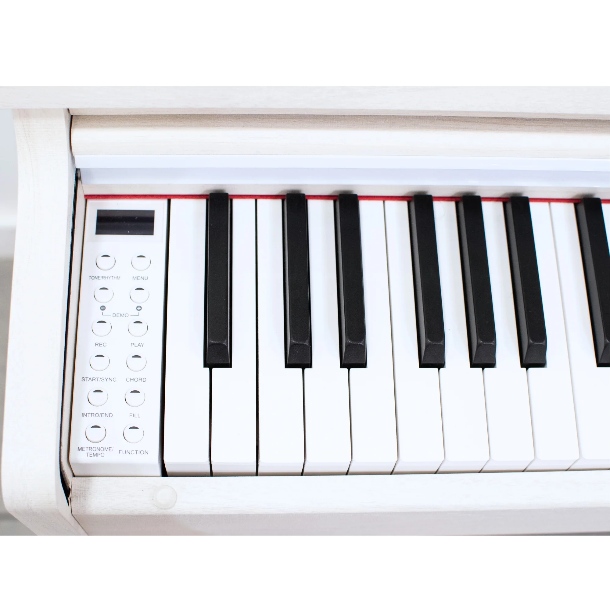 Steiner DP-250 Digital Piano - White Ash - Image 5
