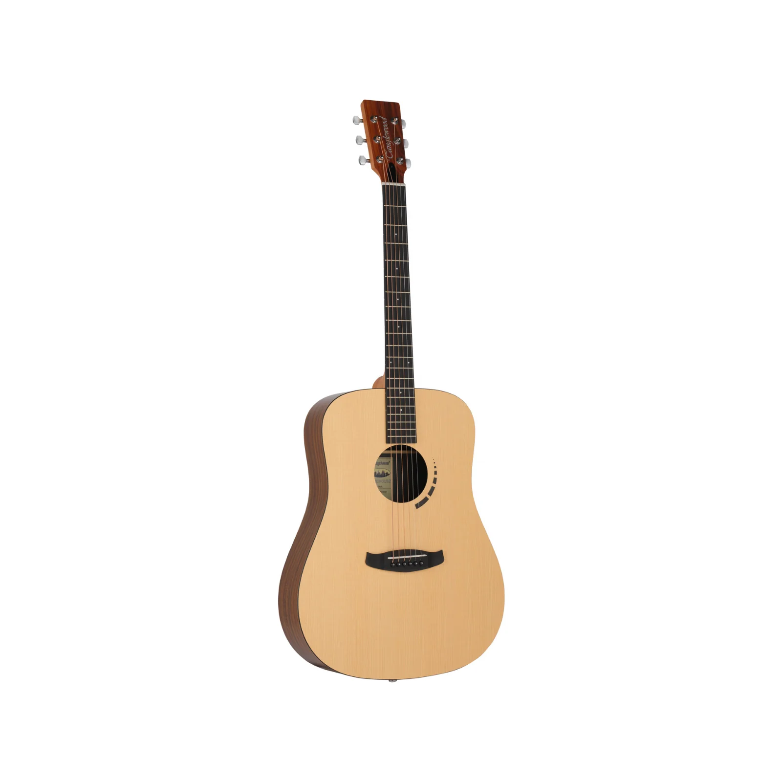 Tanglewood TM5 Metropolitan Series Acoustic Guitar