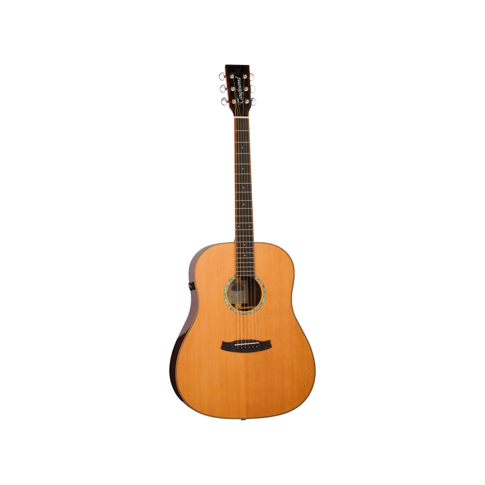 Tanglewood TRS5SE Rosewood Smart Series E-Acoustic Guitar