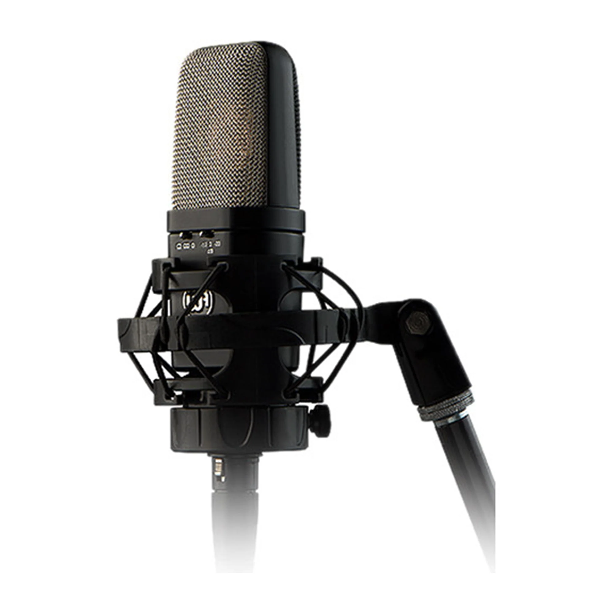 Warm Audio WA-14 Large-Diaphragm, Brass-Capsule Condenser Microphone