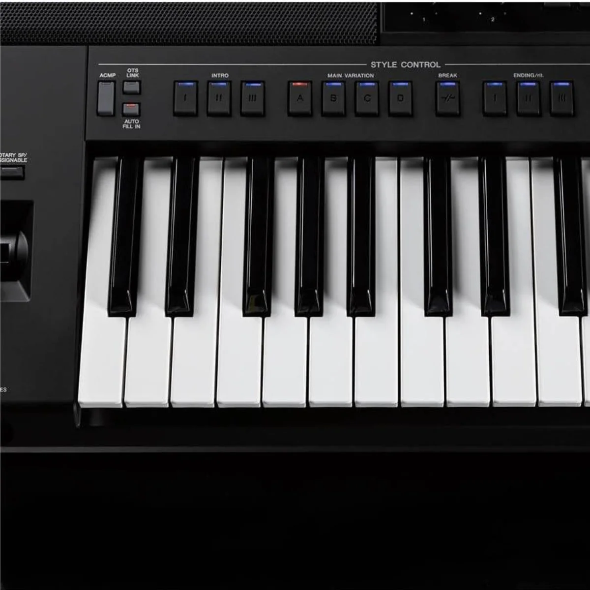 Yamaha PSR-SX900 – 61 Key Arranger Workstation - Image 5